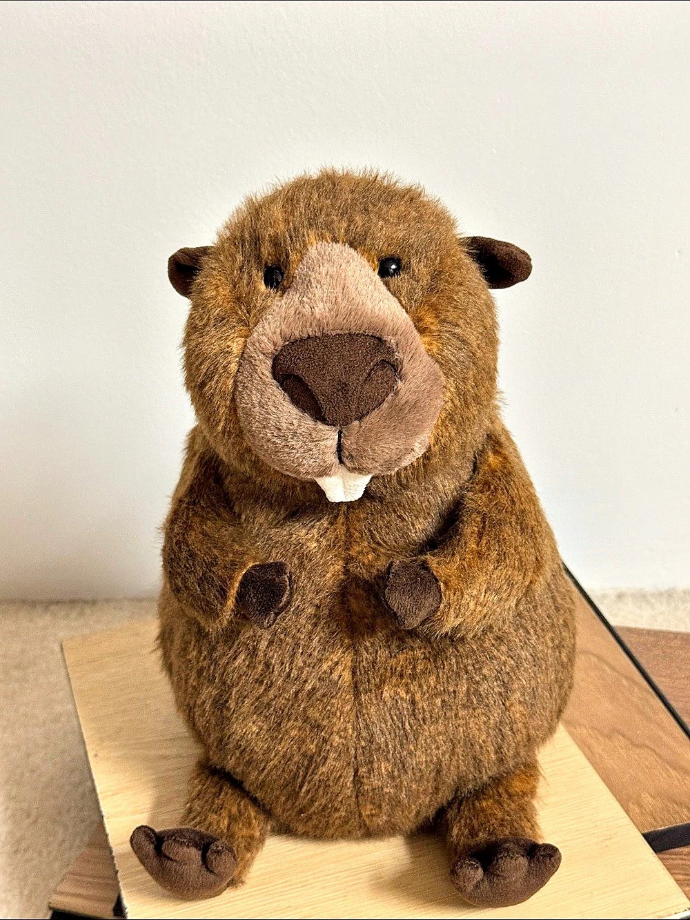 Jellycat Bashful Beaver Brown Plush Stuffed Animal